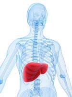 Liver Health
